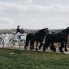 Wie eine Prinzessin: Mit der Kutsche ging es vom Standesamt Schimmendorf zum Fränkischen Hof nach Baiersdorf. Wie eine Prinzessin: Mit der Kutsche ging es vom Standesamt Schimmendorf zum Fränkischen Hof nach Baiersdorf.