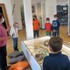 Museumspädagogin Christine Liebl (lila Pullover) bietet immer wieder spezielle Kinderführungen zum Thema Kelten an. Museumspädagogin Christine Liebl (lila Pullover) bietet immer wieder spezielle Kinderführungen zum Thema Kelten an.