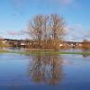 Am Dreikönigstag war in der Korbmachergemeinde Land unter. Dieses Foto vom Hochwasser, aufgenommen bei herrlichstem Sonnenschein, schickte der Redaktion B. Schardt auch Michelau.