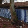 Selbst der Sturm am 18. Februar diesen Jahres, der die Linde auf die Kegelbahn drückte und diese verschoben hat, brachte die Existenz des Kegelclubs nicht in Gefahr.