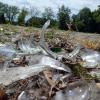 Glasscherben und Splitter in öffentlichen Bereichen stellen eine große Gefahr dar. Vor allem auch für Vierbeiner.