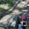 Der Rehbrunnen im Wald lädt durstige Wanderer ein. Der Rehbrunnen im Wald lädt durstige Wanderer ein.