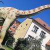 Das Urwelt-Museum entführt in letzten 500 Millionen Jahre Oberfrankens.