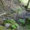 Versiegt ist die Quelle des Bergbrunnens bei Zultenberg. Nur noch eine feuchte Kuhle ist geblieben.