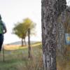 Jakobspilgerwege in Rheinland-Pfalz und im Saarland haben großen Zulauf.