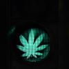 Die Cannabis-Legalisierung in Deutschland soll kommen. Das Bundeskabinett beschloss einen entsprechenden Gesetzesentwurf von Gesundheitsminister Lauterbach.