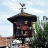Wegen seiner biblischen Bedeutung war der Hahn ursprünglich Kirchtürmen vorbehalten. Als Dachschmuck ziert er – wie hier in der Altenkunstadter Rechtsanwalt-Krauß-Straße – jetzt auch rustikale Taubenhäuser.