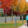 Malermeister Herbst: Können wir uns bei schönem Wetter wieder an leuchtende, bunte Blätter erfreuen, beispielsweise im Kurpark Bad Staffelstein?