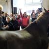 Reitlehrerin Daniela Görtler erklärt den Kindern die richtige Pferdepflege am Schulpony „Sunny“. Reitlehrerin Daniela Görtler erklärt den Kindern die richtige Pferdepflege am Schulpony „Sunny“.