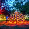 Wunderschön illuminiert wird zur Coburger Museumsnacht wieder der Hofgarten.