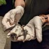 Die Anatomie eines zu Tode gekommenen „Großen Mausohrs“ wurde aus nächster Nähe begutachtet. Die Anatomie eines zu Tode gekommenen „Großen Mausohrs“ wurde aus nächster Nähe begutachtet.