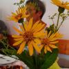 Neu entdeckte Nutzpflanze, hier als Blumenschmuck: die durchwachsene Silphie. Neu entdeckte Nutzpflanze, hier als Blumenschmuck: die durchwachsene Silphie.