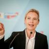 «Natürlich hab ich Lust», sagt die AfD-Chefin Alice Weidel über eine geplante Kanzlerkandidatur ihrer Partei.