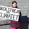 «Als ich 2018 angefangen habe, zu streiken, hätte ich nie damit gerechnet, dass das zu irgendetwas führen würde»: Greta Thunberg.
