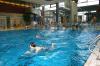 Seit 50 Jahren schwimmen die Lichtenfelser im Merania Hallenbad.