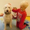 Der Hund „Dorle“ lehrt die Kinder im Die Kita Kindergarten Auferstehungskirche spielerisch Werte Toleranz und vieles mehr.
