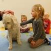 Der Kita-Hund „Dorle“ ist der Liebling der Kinder. Der Kita-Hund „Dorle“ ist der Liebling der Kinder.