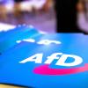 Bei der Landtagswahl in Sachsen-Anhalt 2021 erreichte die AfD 20,82 Prozent der Stimmen.