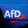 Die AfD befindet sich seit Monaten im Umfragehoch und rangiert im Bund bei 22 bis 24 Prozent.