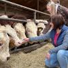 Maria und Anna Pösch (hinten). Rund 450 Tiere haben die Pöschs im Betrieb.