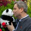Markus Söder hat als Gastgeschenk einen Panda-Plüschbären bekommen.