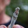 Das Cannabis-Gesetz der Ampel-Koalition kann wie vorgesehen am 1. April in Kraft treten.