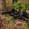 Die Bundeswehr hat Probleme, genügend Soldaten zu finden. Es gibt allerdings noch einige Reservisten.