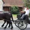 In der Kutsche die Honorationen Dagmar Dietz und Edwin Jungkunz.