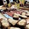 Frisch gebackenes Holzofenbrot aus der Umweltstation Obermain-Jura zeigte sinnbildlich, wie Bildung für Nachhaltige Entwicklung in Kursen im Landkreis Lichtenfels gelingen kann. Frisch gebackenes Holzofenbrot aus der Umweltstation Obermain-Jura zeigte sinnbildlich, wie Bildung für Nachhaltige Entwicklung in Kursen im Landkreis Lichtenfels gelingen kann.