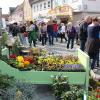 Kein Bett im Kornfeld, aber immerhin ein Bett im Verkaufsoffenen Sonntag präsentierte eine Gärtnerei. XXXxxxxxxxxxxxxxxxxxxxxxxxxxxxx Kein Bett im Kornfeld, aber immerhin ein Bett im Verkaufsoffenen Sonntag präsentierte eine Gärtnerei. XXXxxxxxxxxxxxxxxxxxxxxxxxxxxxx