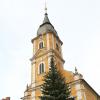 Die Fichte vor der Burgkunstadter Pfarrkirche wird gefällt, weil die Äste und Wurzeln das danebenstehende Kriegerdenkmal schädigen. Auch die Stützmauer könnte in Mitleidenschaft gezogen werden. Als Ersatz soll eine kleine Tanne gepflanzt werden. Die Fichte vor der Burgkunstadter Pfarrkirche wird gefällt, weil die Äste und Wurzeln das danebenstehende Kriegerdenkmal schädigen. Auch die Stützmauer könnte in Mitleidenschaft gezogen werden. Als Ersatz soll eine kleine Tanne gepflanzt werden.