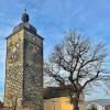 Ginge es nach der Fraktion von Bündnis 90/Grünen im Stadtrat Lichtenfels, so hätte die Kreisstadt sich in der jüngsten Sitzung eine Baumschutzverordnung für das Stadtgebiet gegeben.