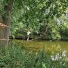 An der Slackline ist Gleichgewichtssinn gefragt. An der Slackline ist Gleichgewichtssinn gefragt.
