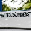 Der Kampfmittelräumdienst hat eine Patrone im Wald bei Lohr beseitigt.