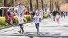 Zahlreiche Läuferinnen und Läufer nehmen am Sonntag 06.04.25 beim 35. Residenzlauf in Würzburg am Hauptlauf teil.