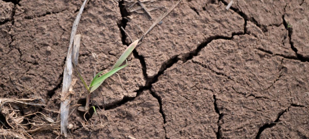 Das Wetter am Ammersee: Trocken, aber nicht so warm wie in den Vorjahren