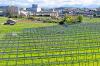 Für Cow-PV wollen Nestlé in Biessenhofen und ein Landwirt eine Grünfläche doppelt nutzen: zur Beweidung und zur regenerativen Stromerzeugung.