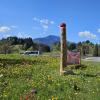 Ein neuer Holzpenis steht seit Mittwochnacht auf dem Geiger-Kreisverkehr in Oberstdorf.