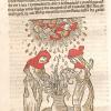„Hexen beim Wettermachen“ aus Ulrich Molitoris, „Tractatus pervtilis de phitonicis mulieribus“ Museum Otto Schäfer, Objekt des Monats Mai: Walpurgisnacht, Hexen beim Wettermachen, kolorierter Buch-Holzschnitt aus:Molitoris, Ulrich: Tractatus pervtilis de phitonicis mulieribus, Basel, nach 1489, Sammlung Museum Otto Schäfer