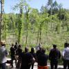 Vor zwei Jahren stand hier noch dichter Wald. Dann mussten am Sternberg im Stettener Wald alle Nadelbäume auf drei Hektar Fläche wegen Käferbefall schnell gefällt werden. Inzwischen wurde mit über 15.000 Bäumen aufgeforstet.