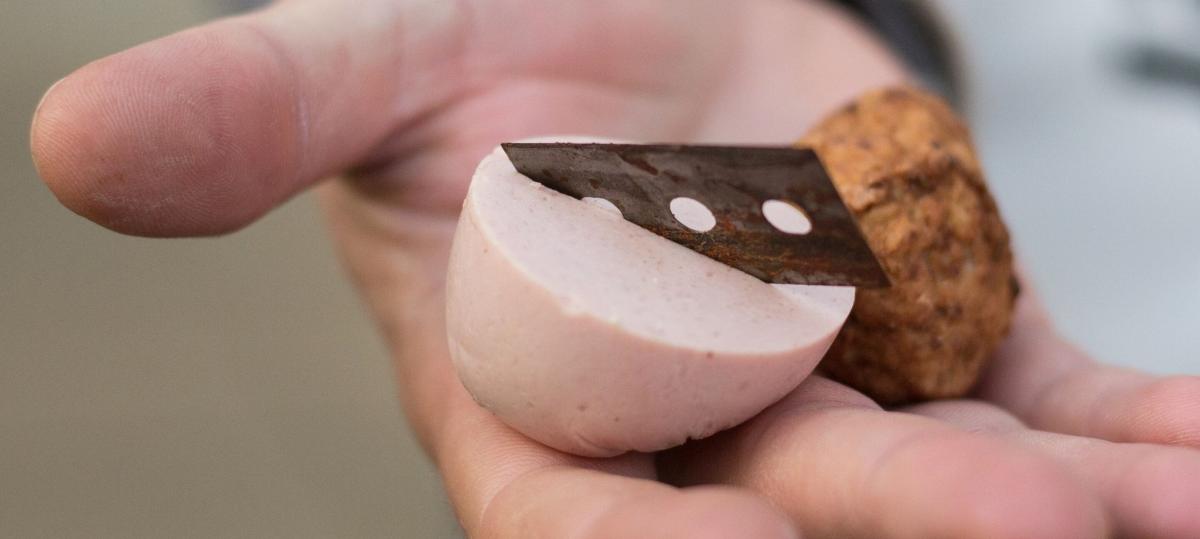 Verdächtige Hunde-Leckerli am Wegesrand aufgetaucht