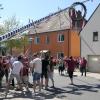 Zusammen mit weiteren Helfern aus der Dorfgemeinschaft stellte der Stammtisch "Sterzelbacher" in Prappach mit purer Muskelkraft den Maibaum auf.