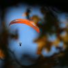 Ein Gleitschirmflieger hat sich bei einem Unfall im Tannheimer Tal schwer verletzt.