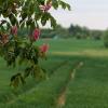Nach den ersten frühsommerlichen Tagen wird das Wetter in Hessen durchwachsener mit kühleren Temperaturen.