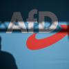 Die AfD muss vor allem auch mit politischen Mitteln bekämpft werden, meint SPD-Chef Klingbeil. (Symbolfoto)