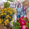 Die Pflanzen- und Gartenbörse in Rügheim zieht jedes Jahr Tausende  Besucher an. Am Sonntag, den 4. Mai 2025 informierten sich wieder zahlreiche Pflanzenfreunde über Blumen, Pflanzen und neue Trends.