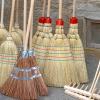 Die Pflanzen- und Gartenbörse in Rügheim zieht jedes Jahr Tausende  Besucher an. Am Sonntag, den 4. Mai 2025 informierten sich wieder zahlreiche Pflanzenfreunde über Blumen, Pflanzen und neue Trends.