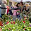 Die Pflanzen- und Gartenbörse in Rügheim zieht jedes Jahr Tausende  Besucher an. Am Sonntag, den 4. Mai 2025 informierten sich wieder zahlreiche Pflanzenfreunde über Blumen, Pflanzen und neue Trends.