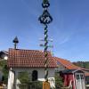 Die Maibaum-Kommission ist mit insgesamt sieben Gruppen in Memmingen und im Unterallgäu unterwegs gewesen. 
