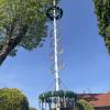 Die Maibaum-Kommission ist mit insgesamt sieben Gruppen in Memmingen und im Unterallgäu unterwegs gewesen. 
